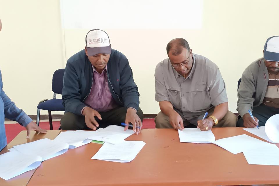 Landmark Agreement Paves the Way for Sustainable Durum Wheat Production and Livelihood Improvement in Ethiopia - Alliance Bioversity International - CIAT