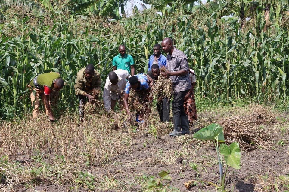 Local advisory platforms bridging climate science and farmer decision making