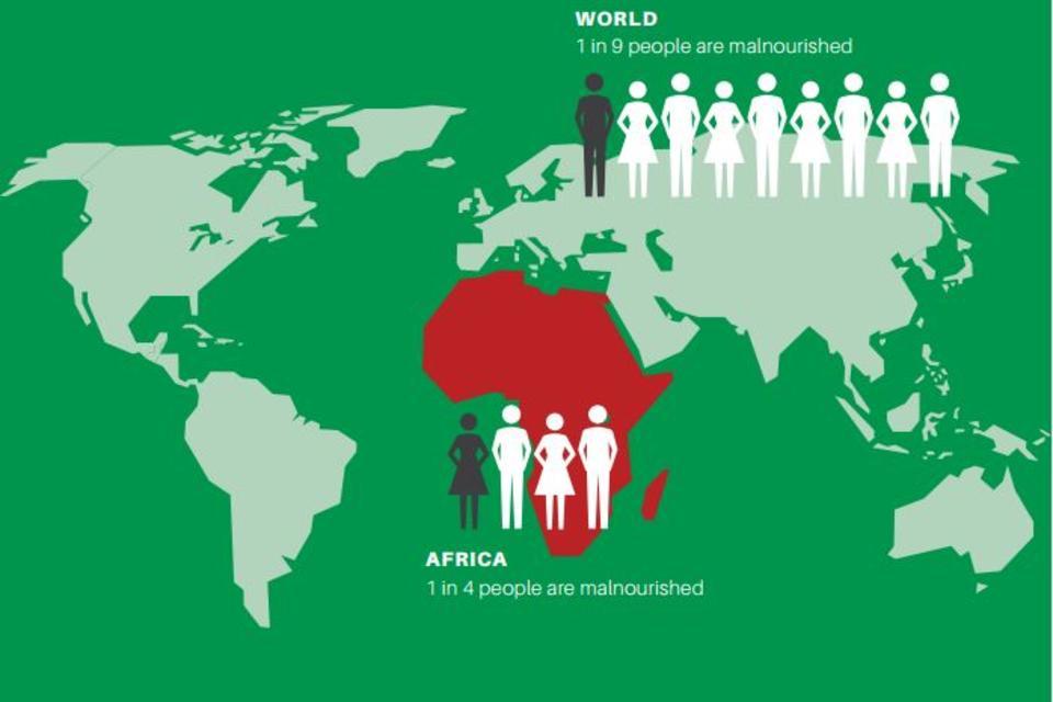 Datos abiertos para detener la desnutrici&oacute;n en &Aacute;frica