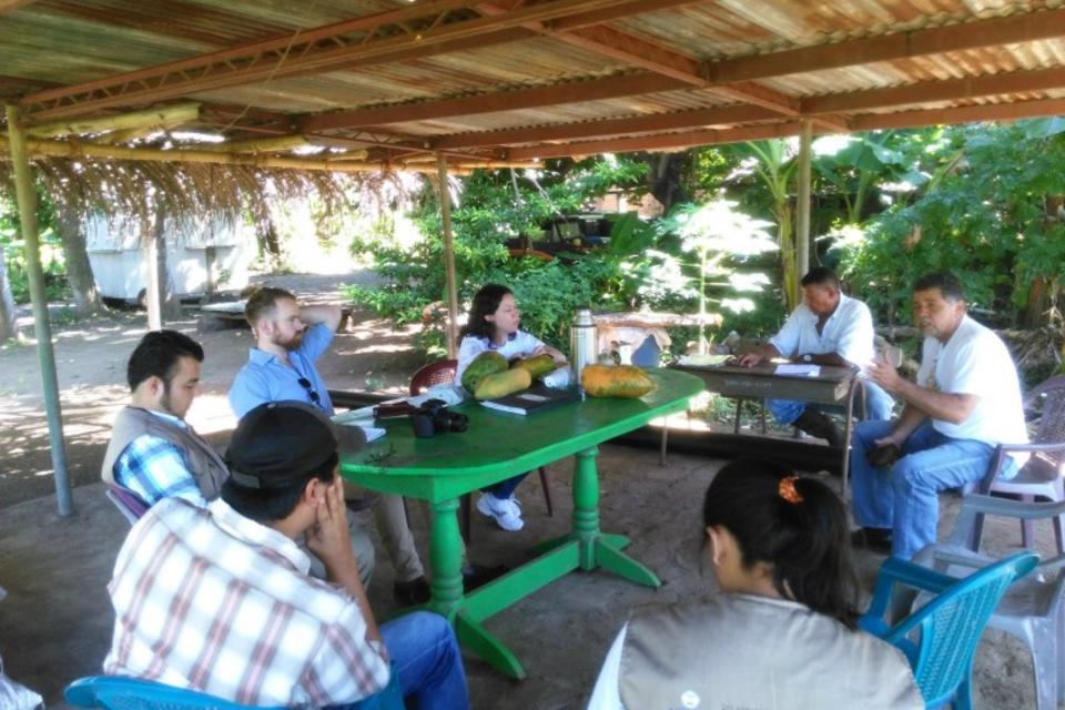 Two alliances working together on cocoa production in El Salvador