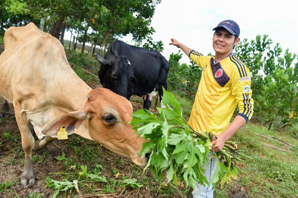 Misi&oacute;n del Reino Unido visitar&aacute; Colombia en busca de socios potenciales para proyectos agr&iacute;colas innovadores