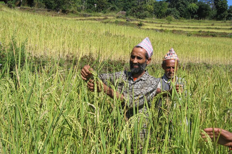Nepal - The Alliance of Bioversity International and CIAT