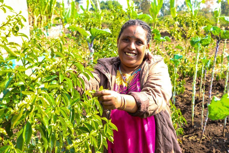 New THRIVE project launches to advance plant diversification and inclusive value chains across East Africa