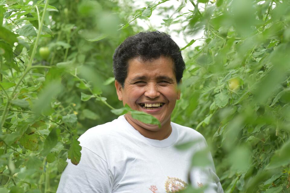 Nicaragua - Alliance of Bioversity International - CIAT