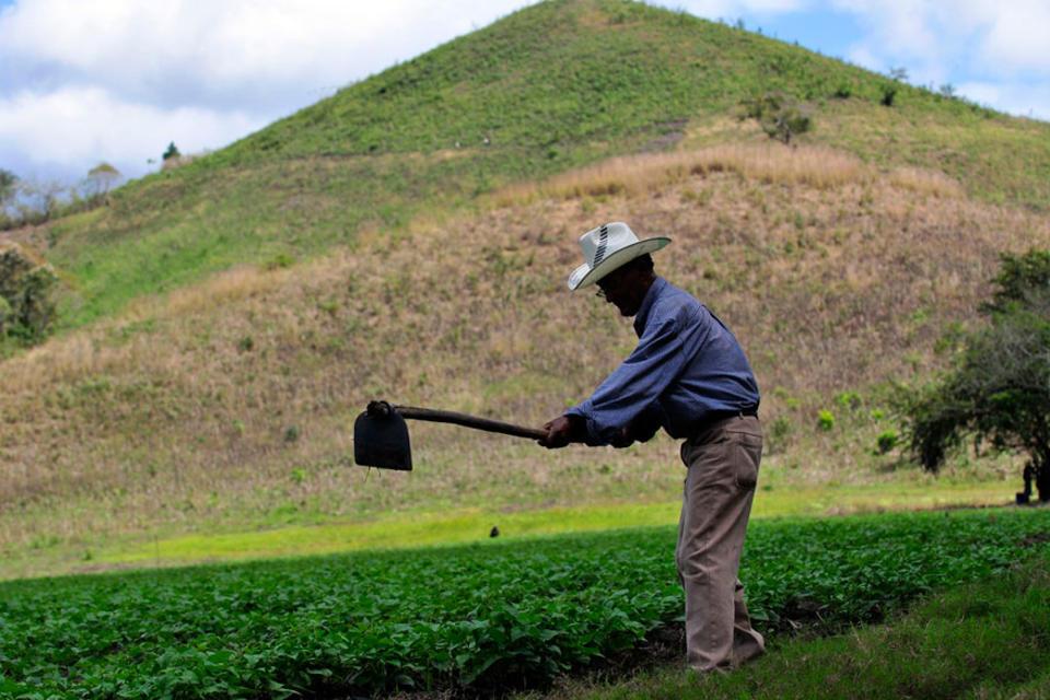 [Video] Tiempos de cambio: Innovación organizacional en Nicaragua