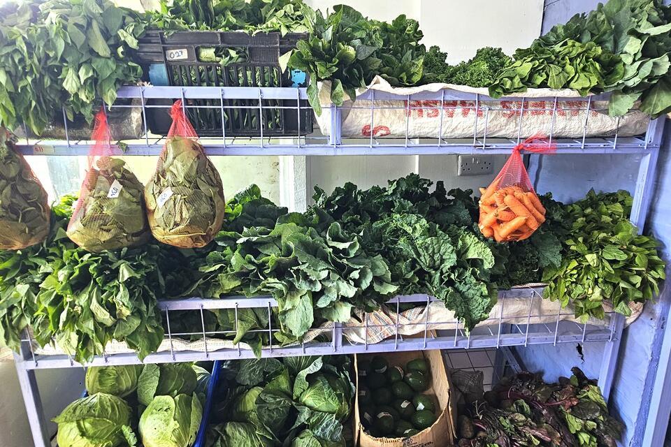 Organic farmers market opens new opportunities for smallholder farmers in Kiambu - Alliance Bioversity International - CIAT