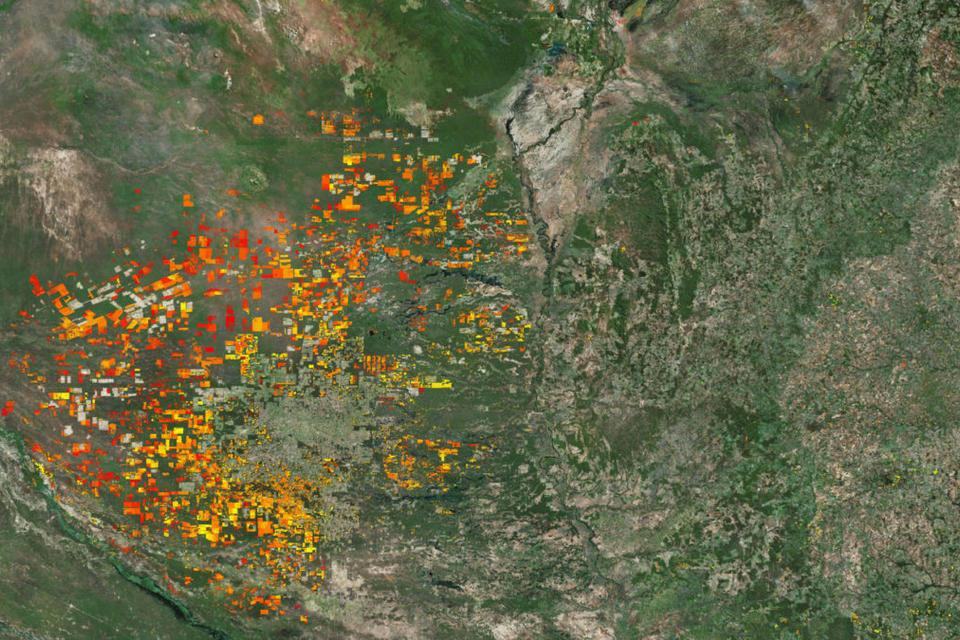 New study shows the value of natural habitat analysis on transportation infrastructure design and planning