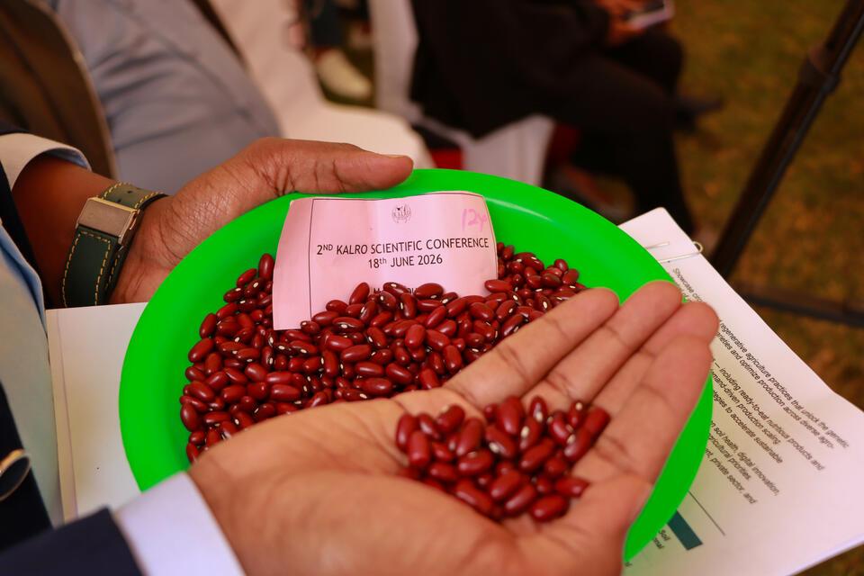 Partnerships hold the key to Africa&rsquo;s food systems transformation - Alliance of Bioversity International and CIAT