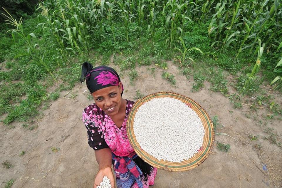 Paving Africa’s way towards a sustainable, profitable food future with women at the lead