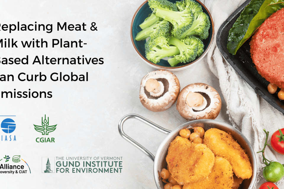 Plant-based food alternatives could support a shift to global sustainability - Alliance Bioversity Interntaional - CIAT