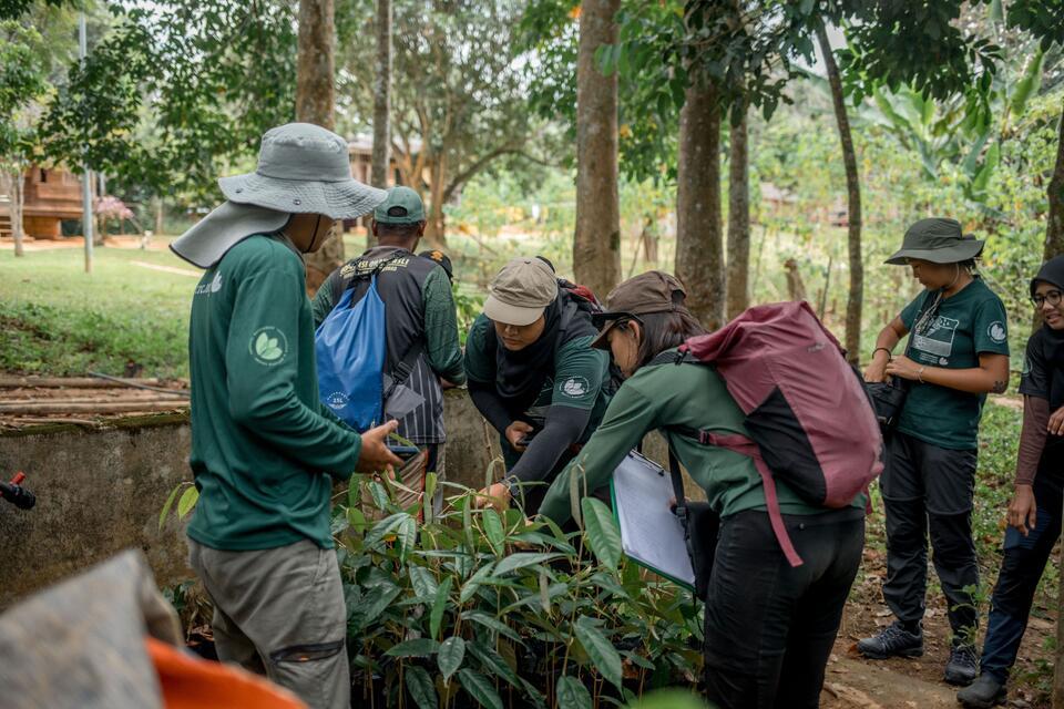 Planting the right seed in the right soil in Asia's forests