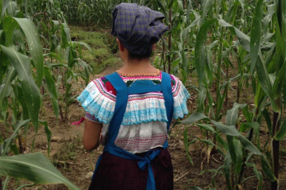 Student perspectives from the field: Talking about the weather in Chiapas, Mexico