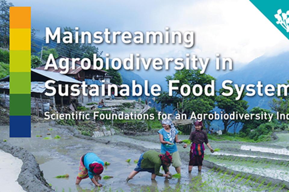 New Study Reveals Agrobiodiversity Investments as Triple Win for Health, Environment and Food System Sustainability