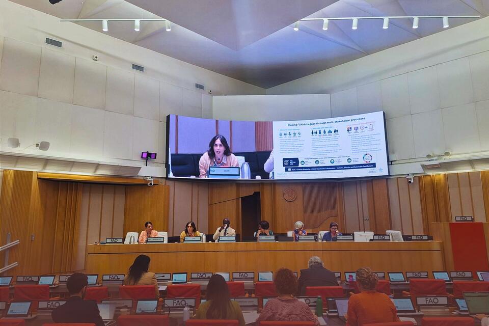 &nbsp;Prioritizing the data that matters for food security and nutrition