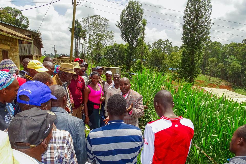 Project Impact Reports from our 'Performance, Innovation and Strategic Analyses' Program - Alliance Bioversity International - CIAT