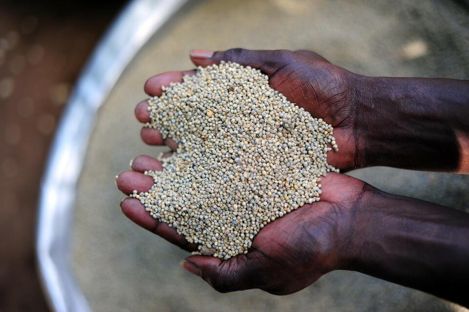 Projects and Flagship Initiatives in Ghana - Alliance of Bioversity International and CIAT