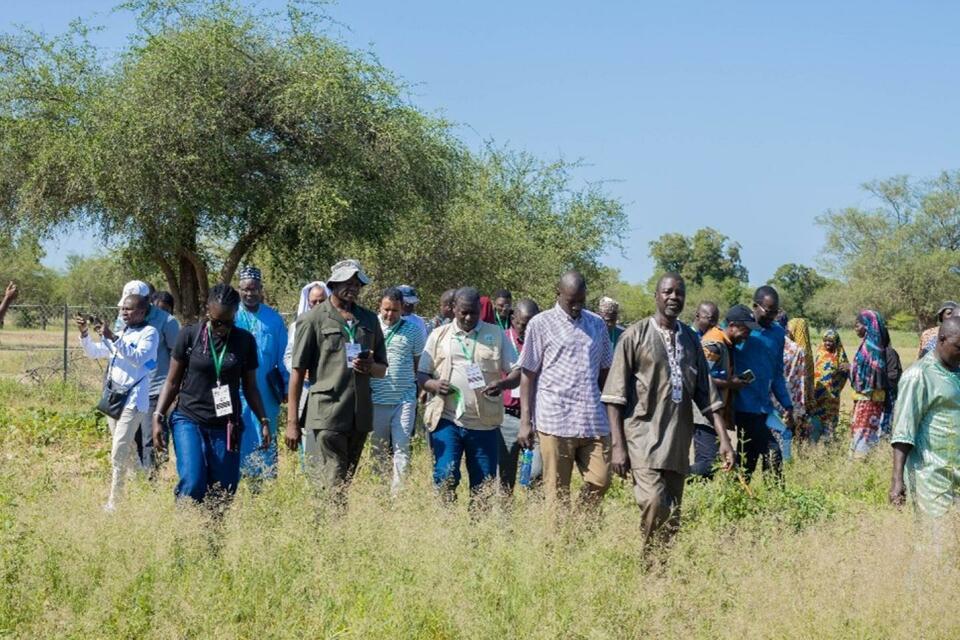 Rooted in community, growing through partnerships - Climate-smart villages in West Africa and the Sahel