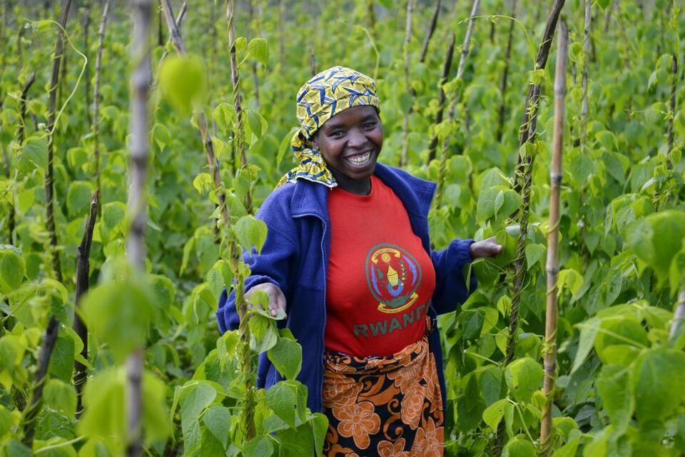 Rwanda - Alliance Bioversity International - CIAT