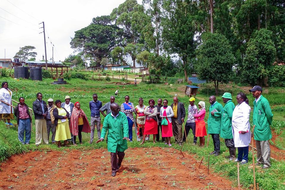 Strategic Analysis for Impact with a Gender Focus - Alliance Bioversity International - CIAT