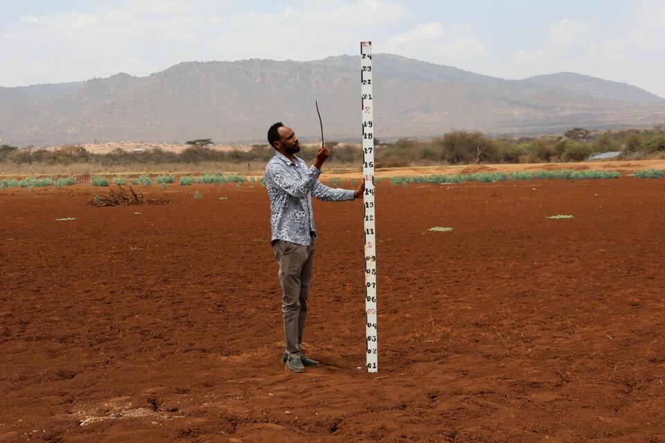 Surviving drought with better data - Ethiopian pastoralists use a digital monitoring system to avoid crisis - Alliance Bioversity International - CIAT