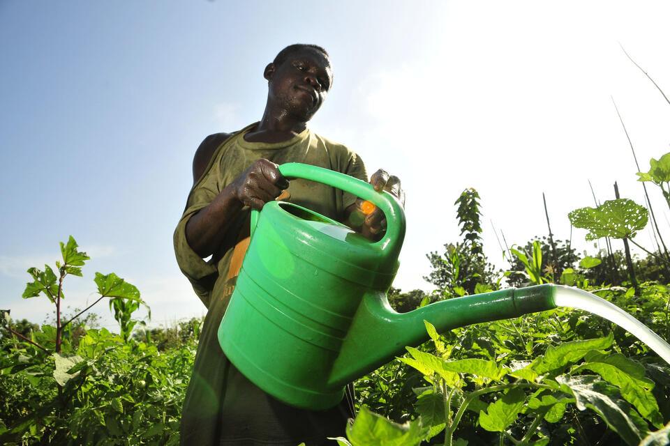The Alliance at the 17th Africa Day for Food and Nutrition Security (ADFNS) 2026