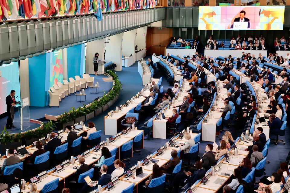 The Alliance at the 54th Plenary Session of the Committee on World Food Security - CFS