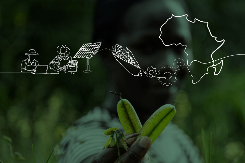 The Alliance launches its 2026&ndash;2030 Strategy in Africa at the Africa Food Systems Forum 2026 - Alliance Bioversity International - CIAT