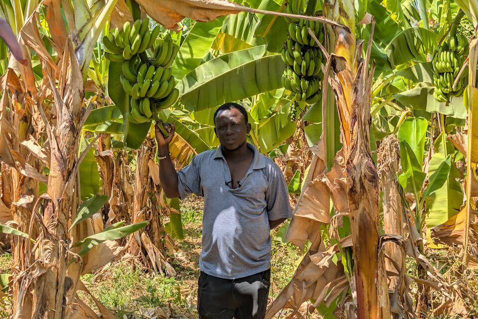 He wanted to leave, he chose the land: The courageous choice of Tahirou Diallo