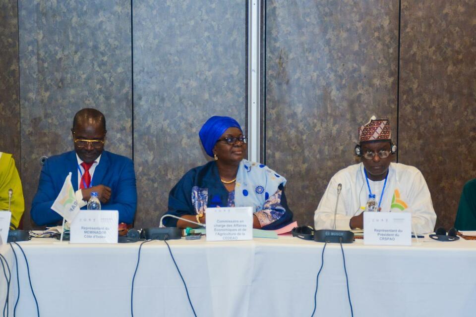 The regional pest and disease outbreak preparedness and response plan in West and Central Africa officially launched - Alliance Bioversity International - CIAT