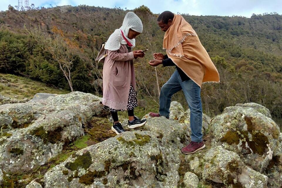 The Tosign (Thymus)-Tree Trade-Off: Eucalyptus and Cupressus tree plantations threaten the ecological and economic value of Thymus schimperi in the Ethiopian Highlands 