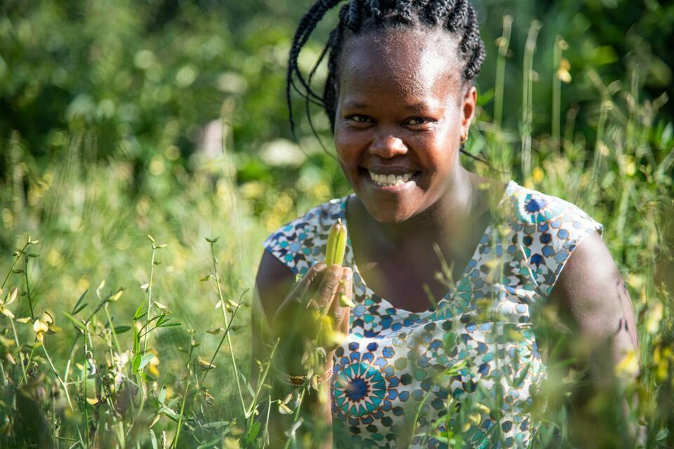 THRIVE East Africa - Alliance Bioversity International - CIAT