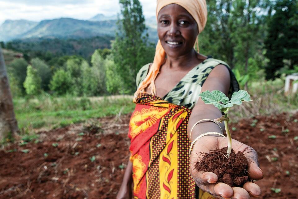 THRIVE East Africa - Alliance Bioversity International & CIAT