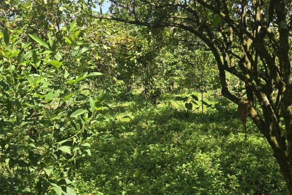 Turning forest conservation and landscape restoration into livelihood opportunities - a consultation on incentives in the upper Omo&ndash;Ghibe Basin in Southwest Ethiopia