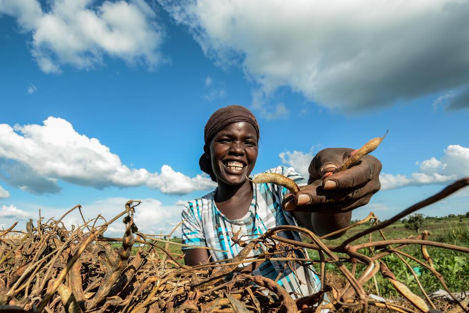 Uganda - Alliance of Bioversity International - CIAT