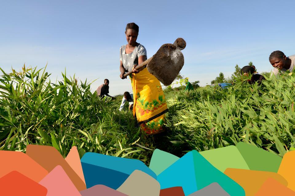 UNCBD COP17 - Alliance Bioversity International - CIAT