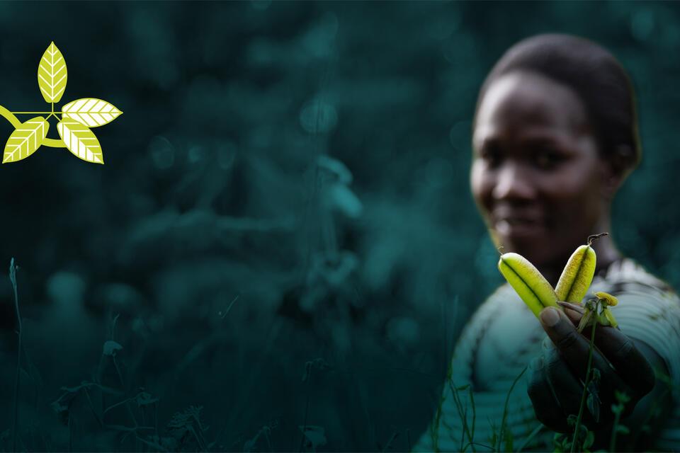 Urgent Science, Profound Hope The Alliance launches its vision for food and land systems