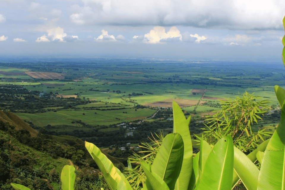 Cali y el Valle del Cauca se preparan para enfrentar el cambio clim&aacute;tico