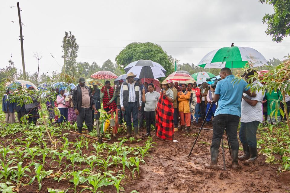 Virtual Field Tours Revolutionize Agriculture Information Dissemination in Kenya - Alliance Bioversity International - CIAT