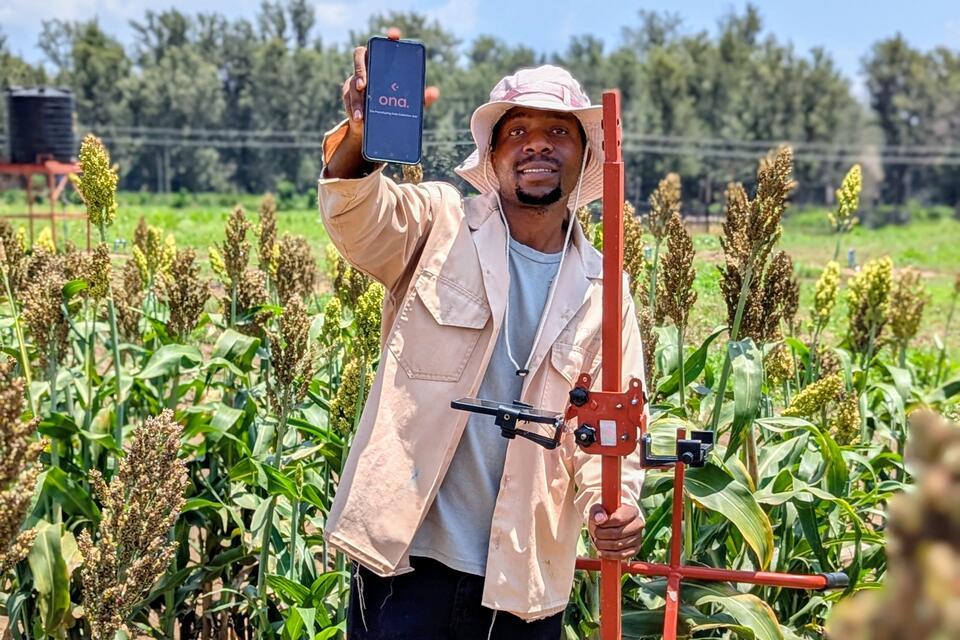 We don't talk about Bruno - How a pushcart is changing crop breeding - Alliance Bioversity International and CIAT