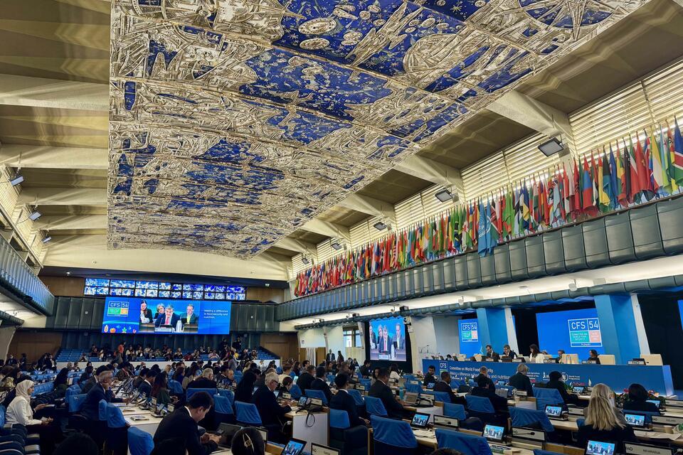 Who decides what AI does to our food - Reflections from CFS 54 in Rome