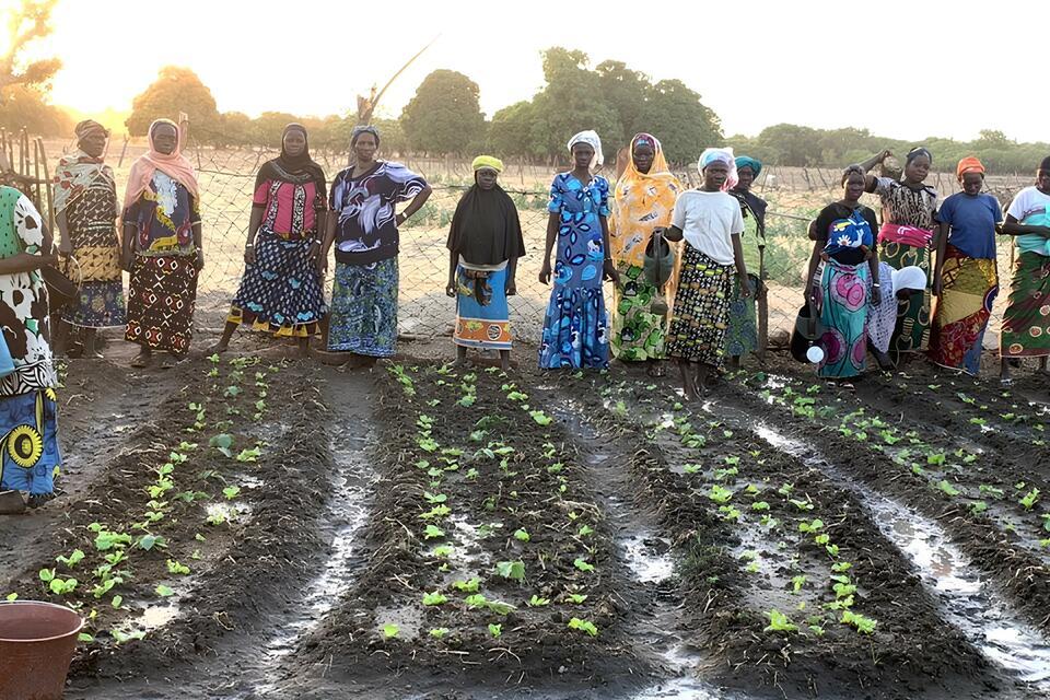 World Bank funded programs join forces to scale climate-smart villages across West Africa and the Sahel