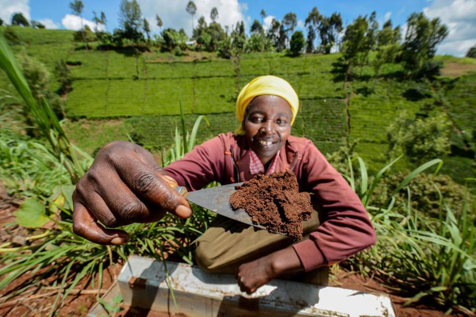 Sink more carbon in the soil? It&rsquo;s not that easy
