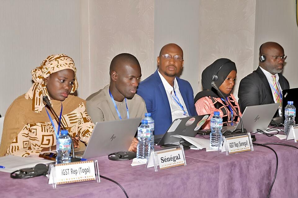 Young researchers from West Africa shape the next generation of Nationally Determined Contributions - Alliance Bioversity International - CIAT