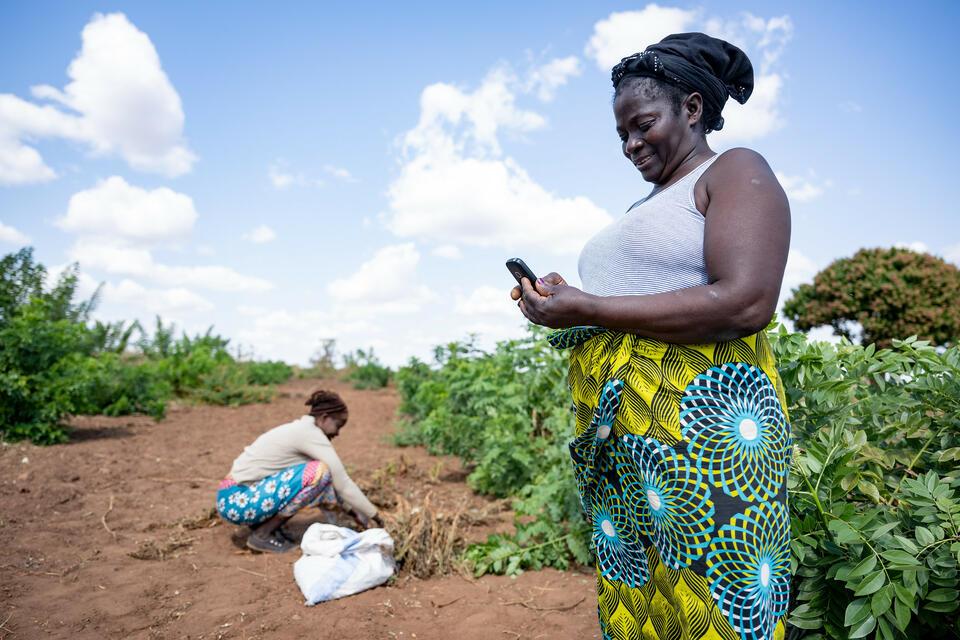 Zambia - Alliance of Bioversity International and CIAT