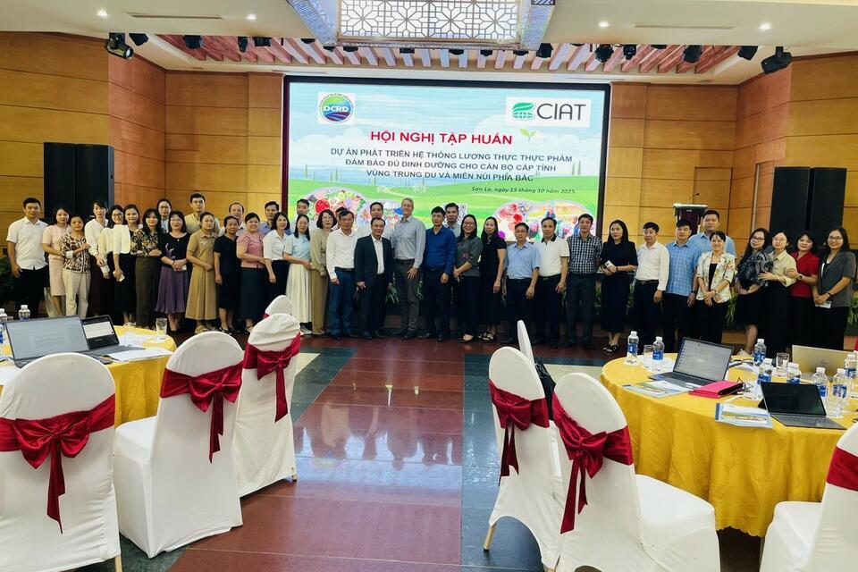 Integrating nutrition-sensitive agri-food systems into Vietnam&rsquo;s national policy framework Insights from the Northern Midland and Mountainous Region