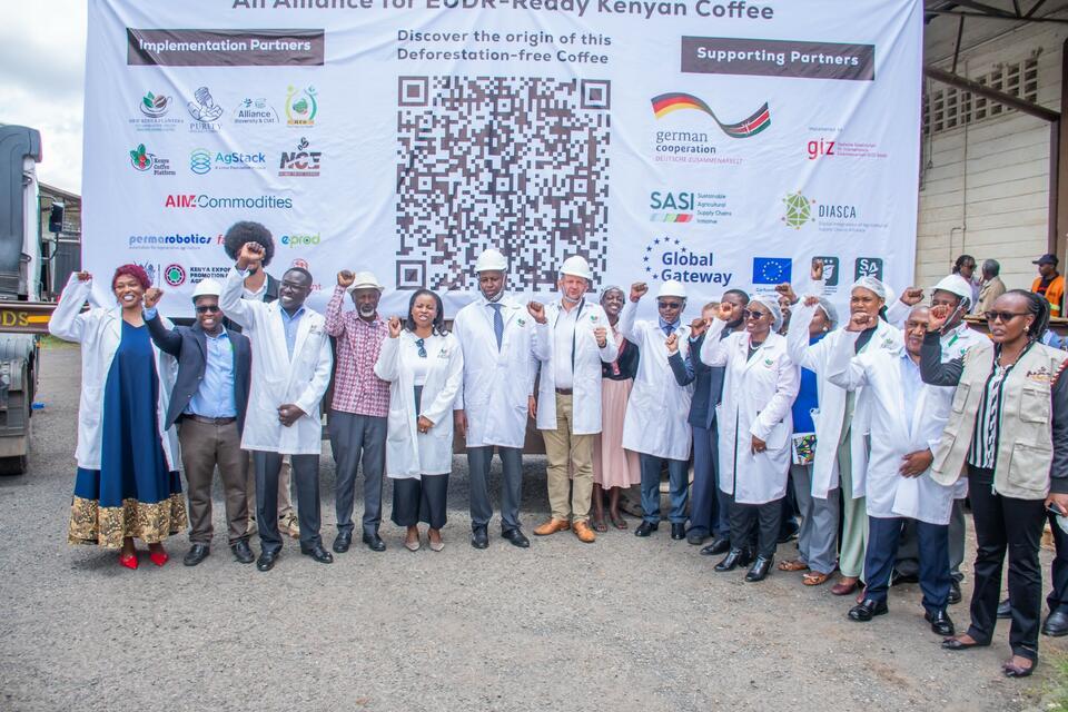 Kenya&rsquo;s first EUDR-ready coffee shipment A milestone for sustainable trade - Alliance Bioversity International and CIAT