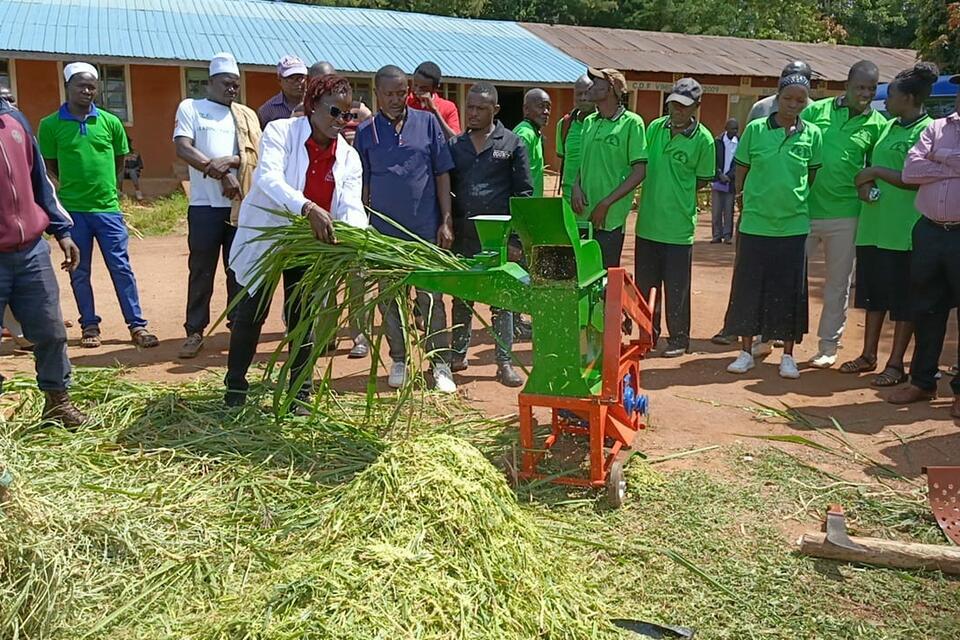 Kenya: Strengthening the Livestock Sector Through Improved Fodder Systems 