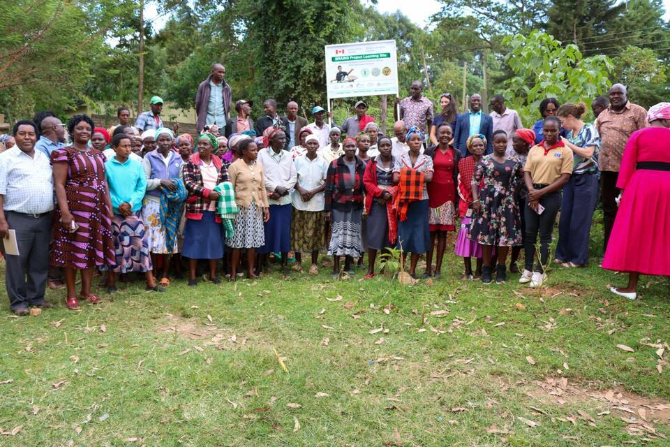 Kenyan Bean farmers embrace beneficial insects and fruit trees to combat climate change