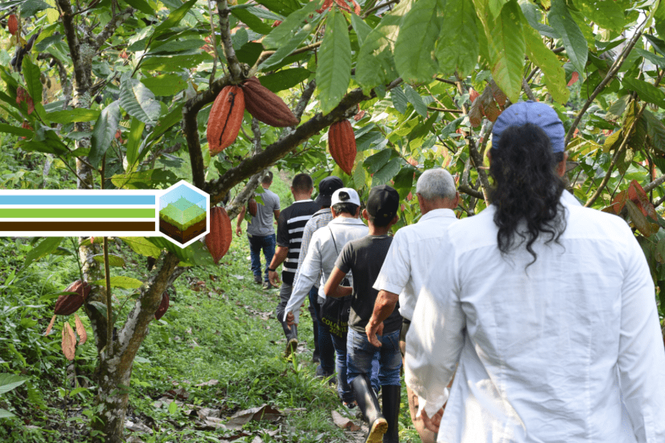 La agricultura sostenible está construyendo la paz en Colombia