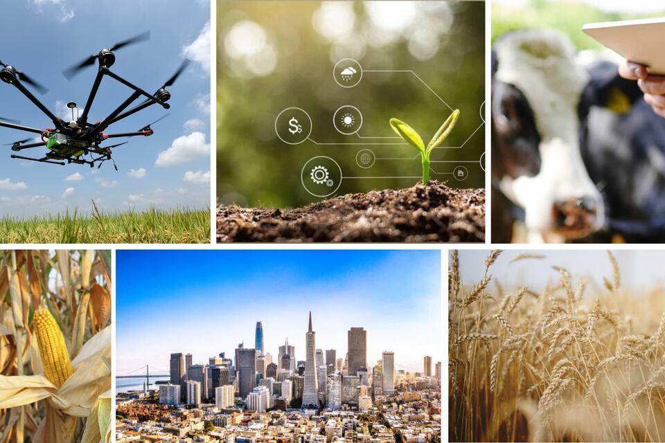Landing big ideas in AgTech The Alliance at the World Agri-Tech innovation summit San Francisco - Alliance Bioversity International - CIAT